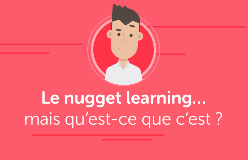 Le nugget learning… mais qu’est-ce que c’est ?